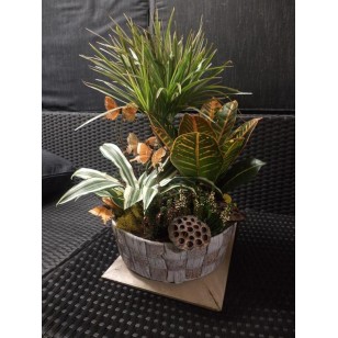 Plant Arrangement in a Basket 30 cm